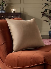 Dark Natural 59 x 59cm Matte Velvet Cushion - Image 1 of 2