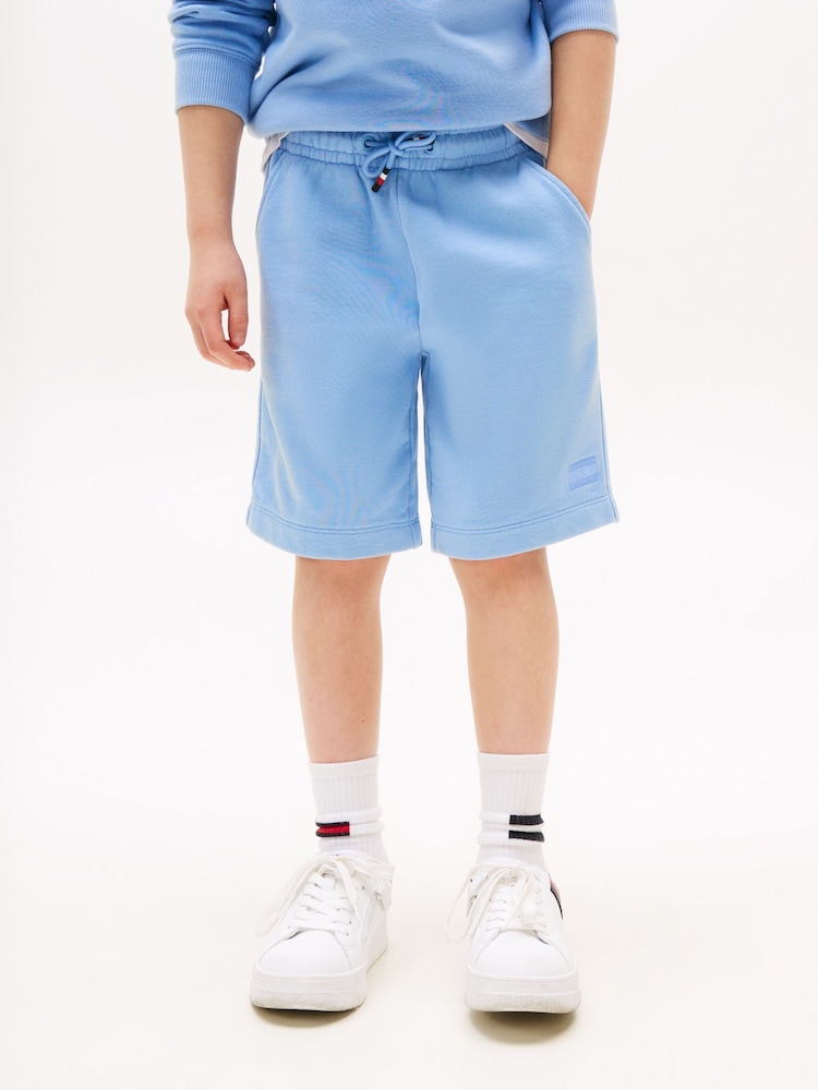 Tommy Hilfiger Blue Tonal Flag Embroidery Sweat Shorts - Image 1 of 5