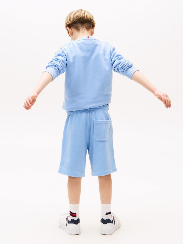 Tommy Hilfiger Blue Tonal Flag Embroidery Sweat Shorts - Image 2 of 5