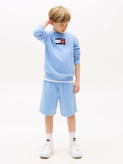 Tommy Hilfiger Blue Tonal Flag Embroidery Sweat Shorts - Image 3 of 5