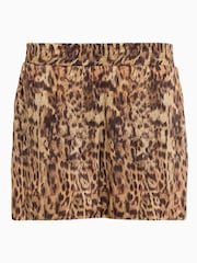 AllSaints Brown Charli Shorts - Image 8 of 8
