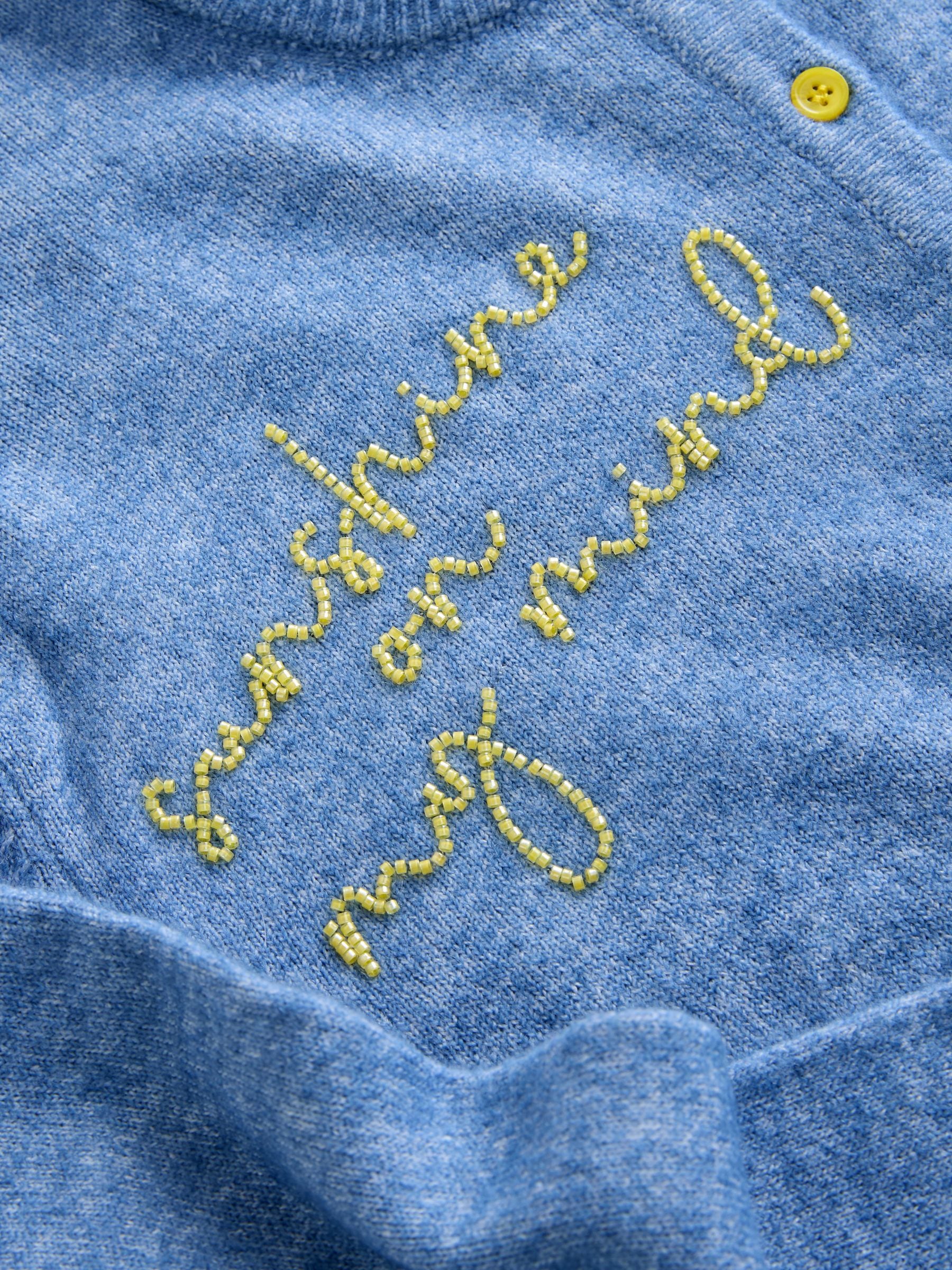 Next：日本 シャンブレー ブルー 装飾付き - クルーネック ニット