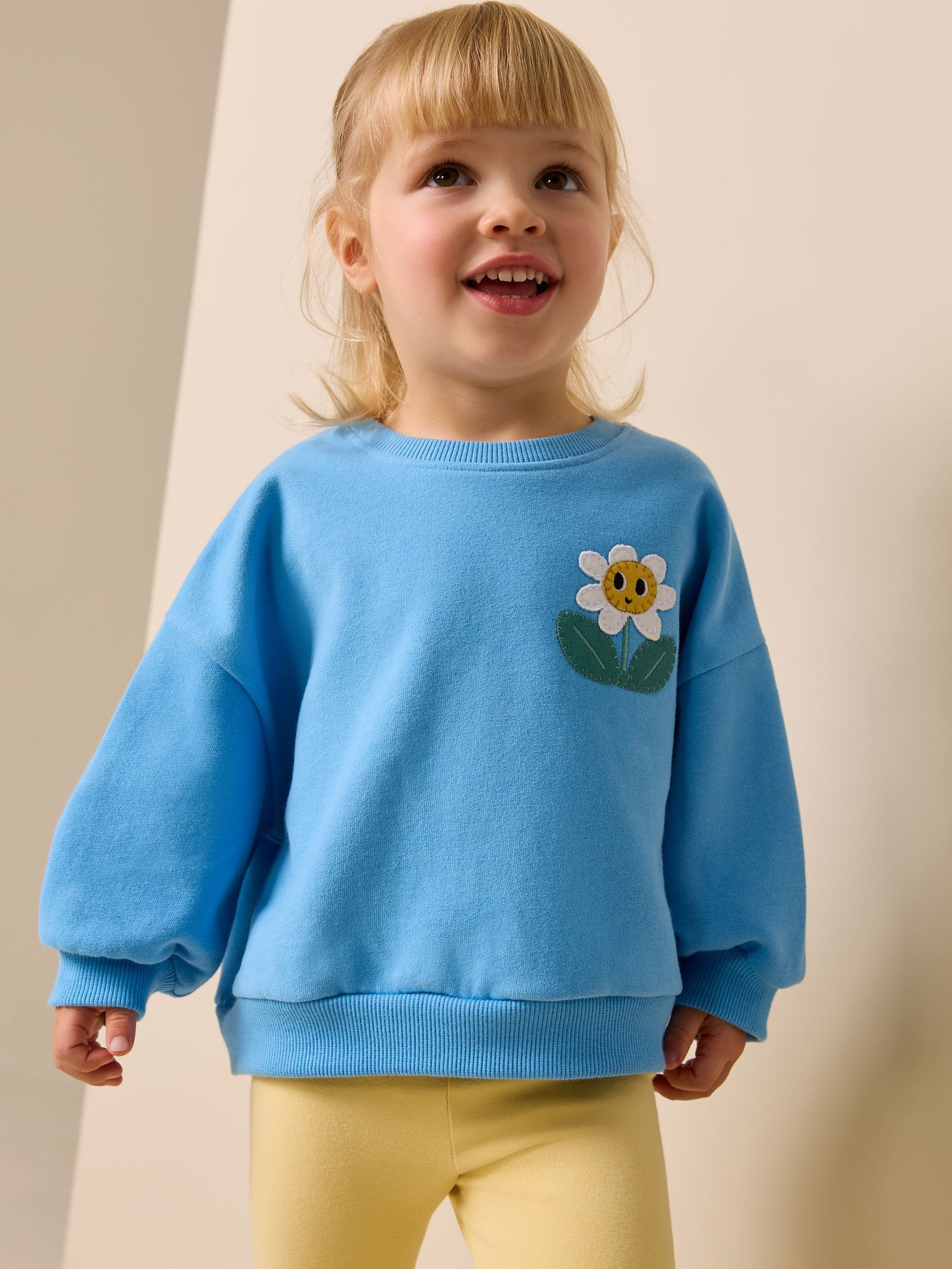 Buy Blue Flower Crew Neck Sweatshirt (3mths-7yrs) from Next France