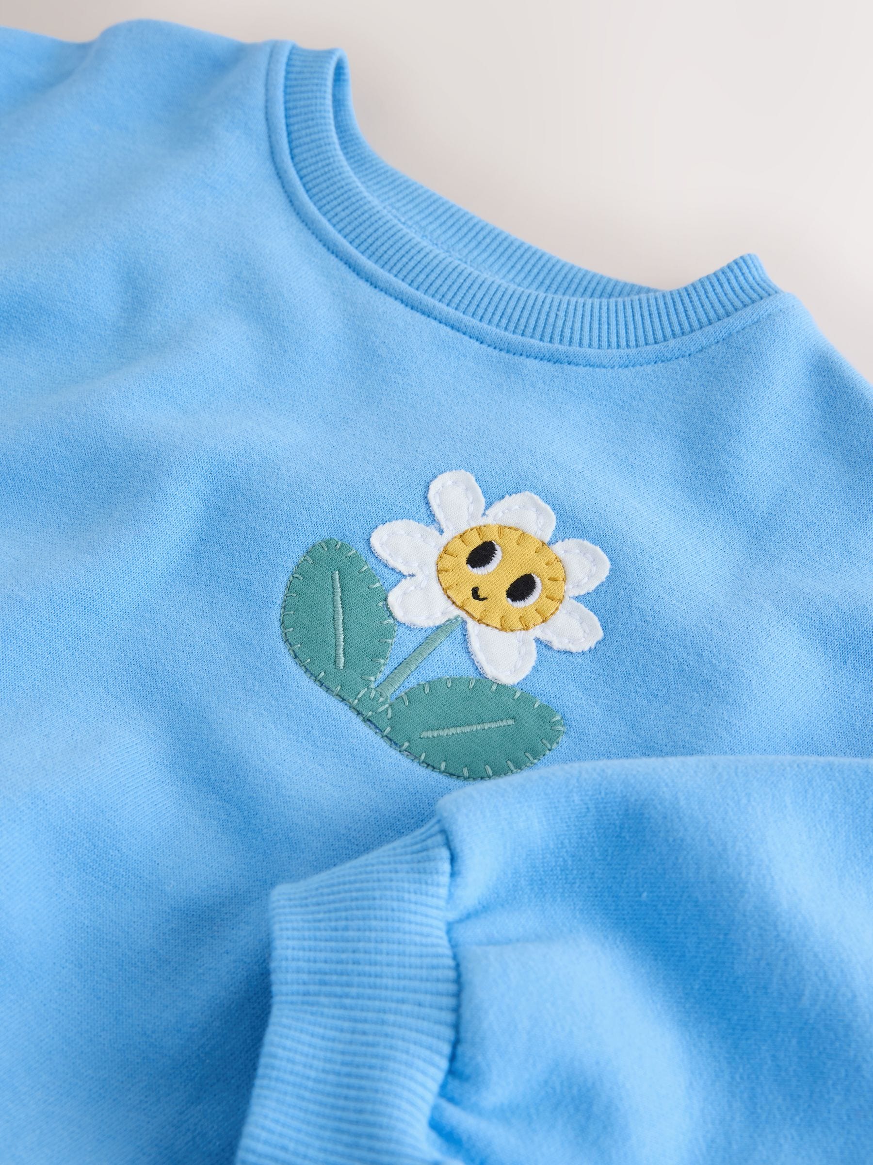 Buy Blue Flower Crew Neck Sweatshirt (3mths-7yrs) from Next France