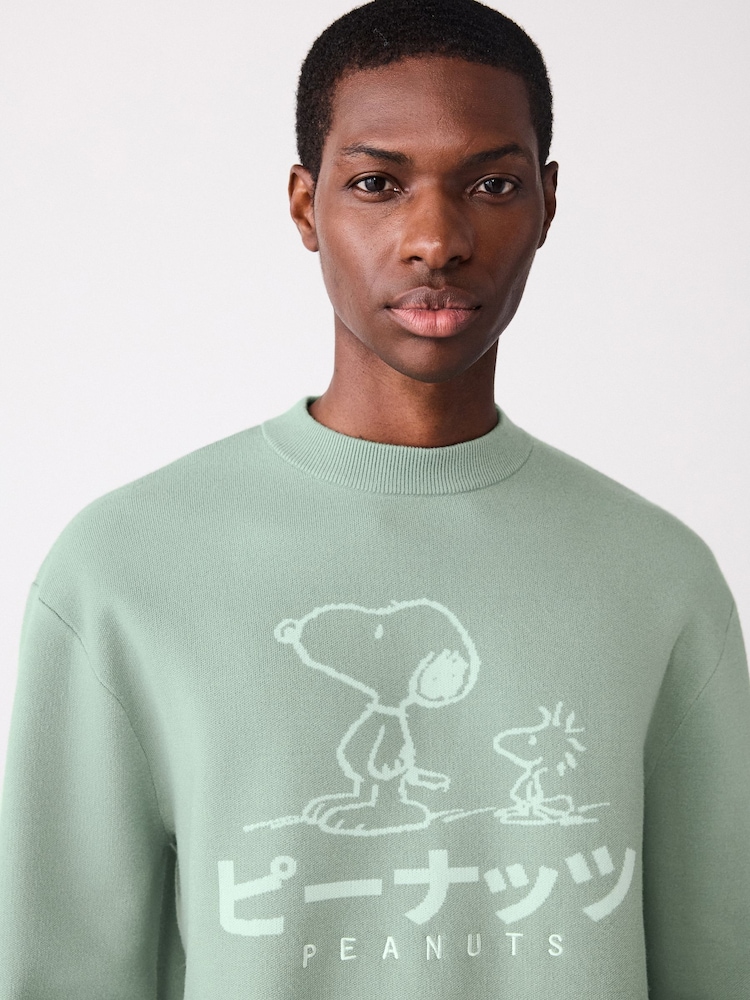 Sage Green Relaxed Fit Snoopy Graphic Print Crew Neck Jumper - Image 1 of 9 Sage Green Relaxed Fit Snoopy Graphic Print Crew Neck Jumper - Image 1 of 9