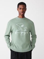 Sage Green Relaxed Fit Snoopy Graphic Print Crew Neck Jumper - Image 4 of 9