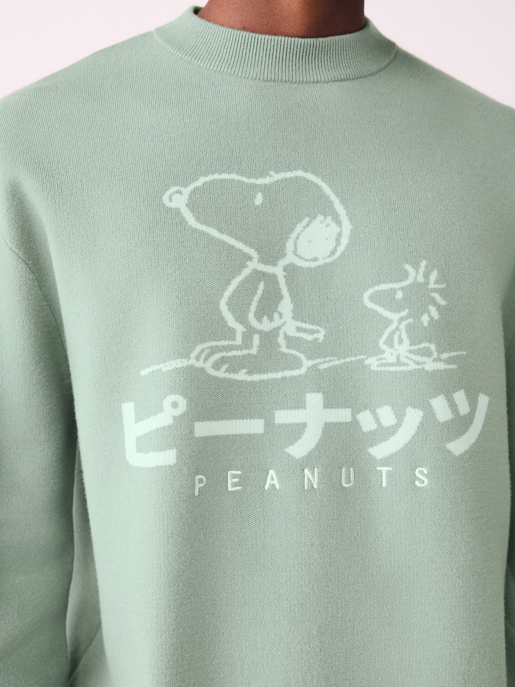 Buy Sage Green Relaxed Fit Snoopy Graphic Print Crew Neck Jumper