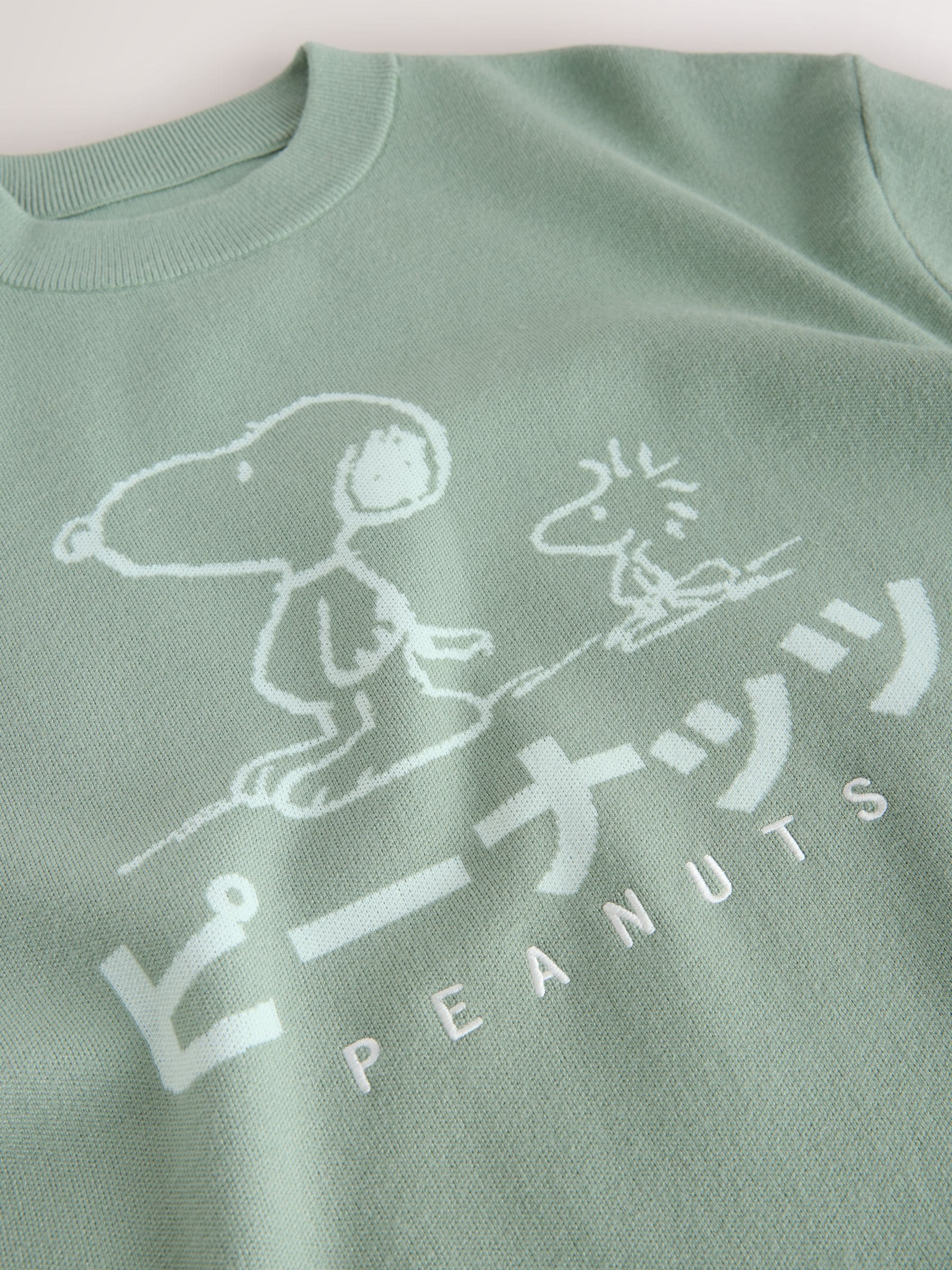 Buy Sage Green Relaxed Fit Snoopy Graphic Print Crew Neck Jumper