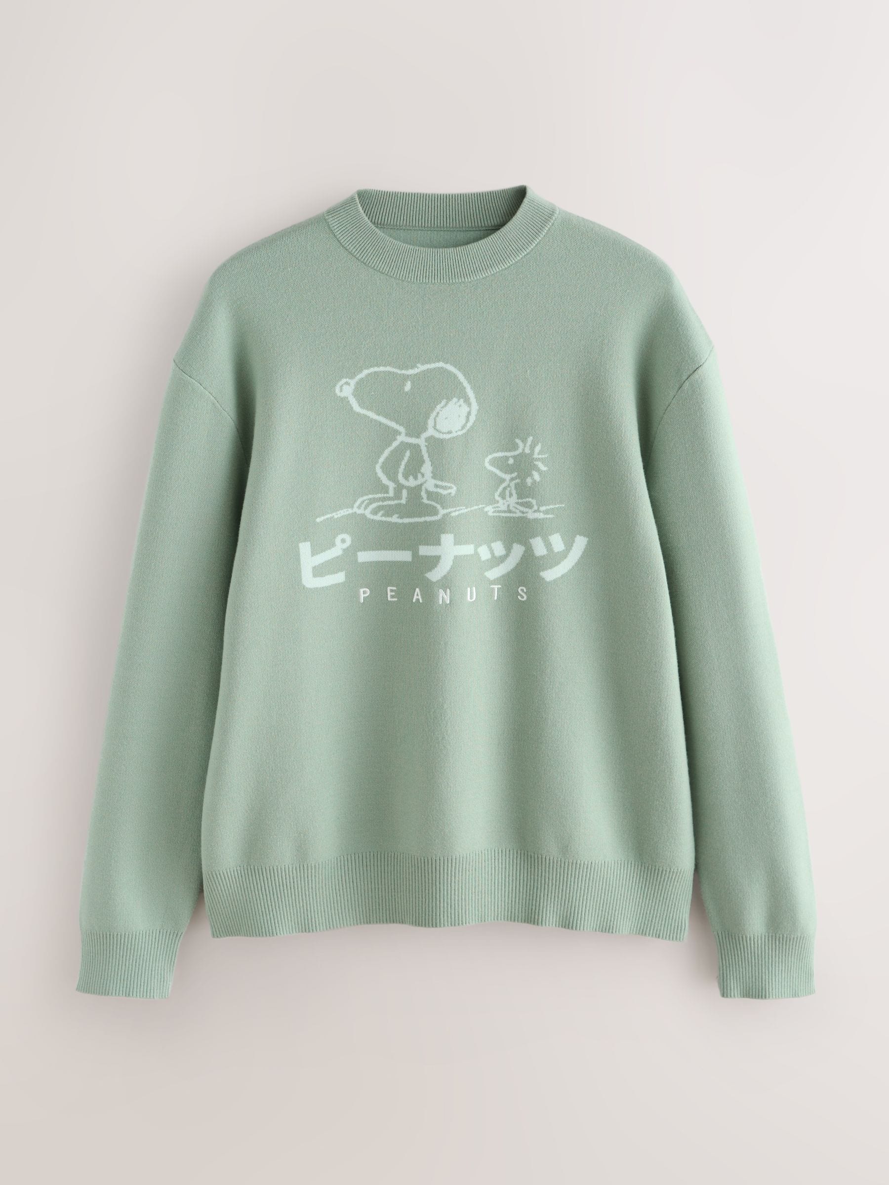 Buy Sage Green Relaxed Fit Snoopy Graphic Print Crew Neck Jumper