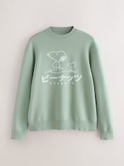 Sage Green Relaxed Fit Snoopy Graphic Print Crew Neck Jumper - Image 9 of 9