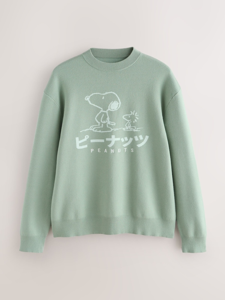 Sage Green Relaxed Fit Snoopy Graphic Print Crew Neck Jumper - Image 9 of 9 Sage Green Relaxed Fit Snoopy Graphic Print Crew Neck Jumper - Image 9 of 9