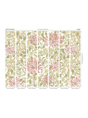 Origin Murals Soft Coral Honeysuckle 2.8m x 3.5m Wall Mural - Image 4 of 4