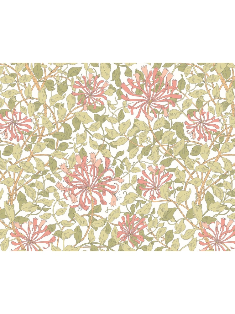 Origin Murals Soft Coral Honeysuckle A4 Wallpaper Sample - Image 1 of 1 Origin Murals Soft Coral Honeysuckle A4 Wallpaper Sample - Image 1 of 1