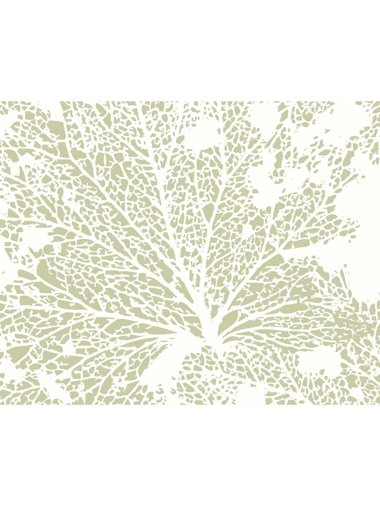 Origin Murals Sage Green Skeleton Leaf A4 Wallpaper Sample - Image 1 of 1 Origin Murals Sage Green Skeleton Leaf A4 Wallpaper Sample - Image 1 of 1
