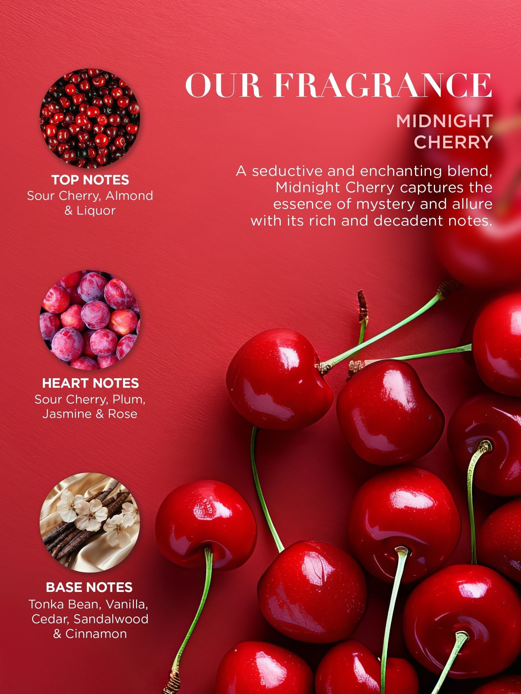 Buy Baylis & Harding Midnight Cherry Gift Wrapped Candlelit