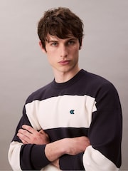 Calvin Klein Blue Relaxed Long Sleeve Striped Jumper - Image 5 of 5