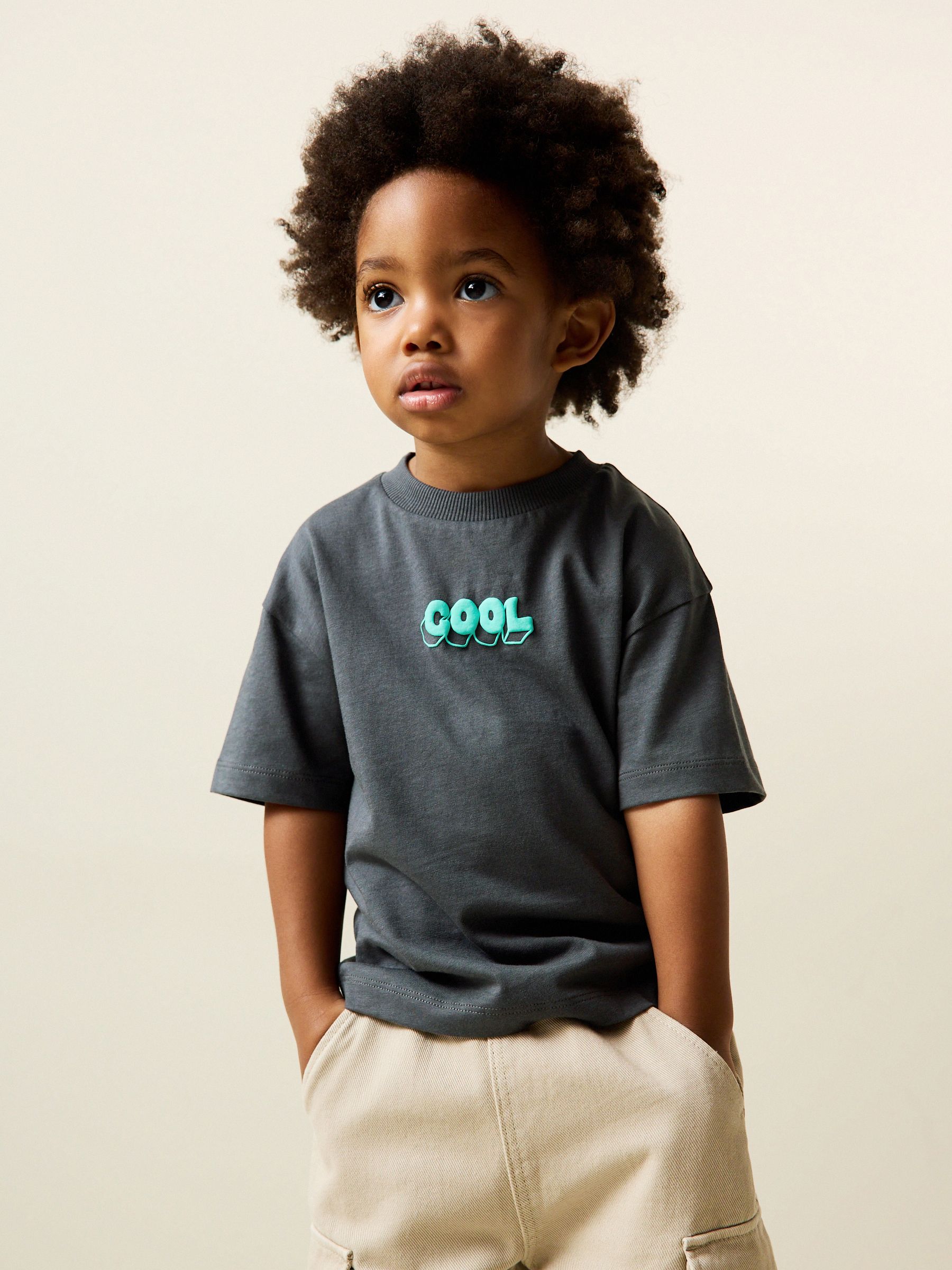 Buy Charcoal Grey Cool Slogan Short Sleeve Small Graphic T-Shirt