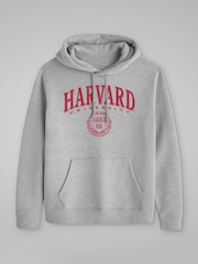 All + Every Grey Mens Harvard University Classic Shield Hooded Sweatshirt - Image 3 of 4