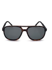 Storm Plastic Oblong Eyeshape Brown Sunglasses - Image 1 of 2