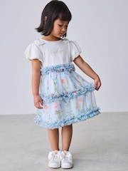 Albastru - Baker by Ted Baker Floral Ruffle Mesh Mockable Blue Dress - Imaginea 3 din 7