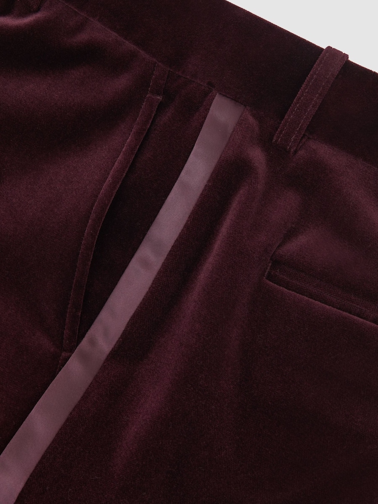 عنابي - Reiss Elia Velvet Tuxedo-Stripe Flared Trousers - صورة 8 من 8 عنابي - Reiss Elia Velvet Tuxedo-Stripe Flared Trousers - صورة 8 من 8