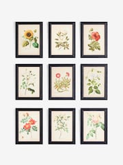 Set of 9 Multi Floral Textured Print Framed Wall Art - Image 1 of 2