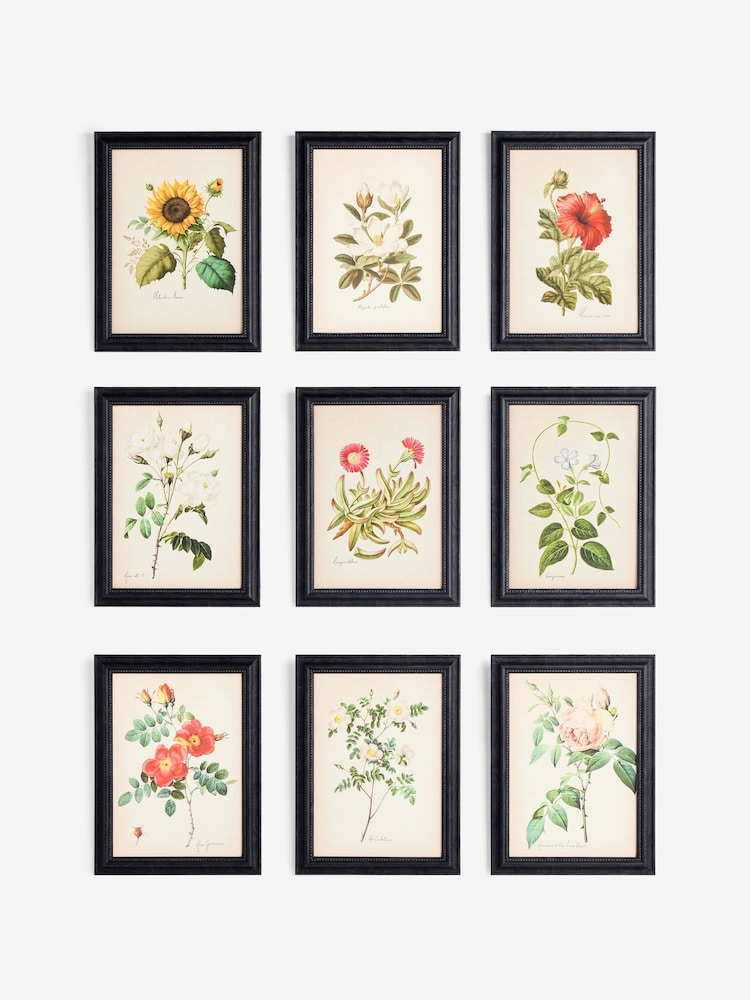Set of 9 Multi Floral Textured Print Framed Wall Art - Image 1 of 2