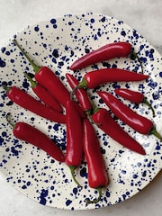 Hot Pottery Blueberry Splatter Shallow Serving Bowl - Image 1 of 5