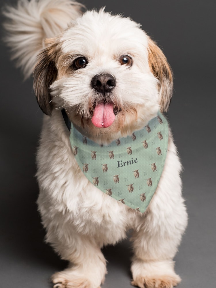 Personalised Highland Cow Dog Bandana by PMC - Image 1 of 3