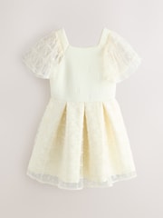 Baker by Ted Baker Mesh Overlay Angel Sleeve Scuba Dress - Image 1 of 5