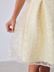 Baker by Ted Baker Mesh Overlay Angel Sleeve Scuba Dress - Image 12 of 17