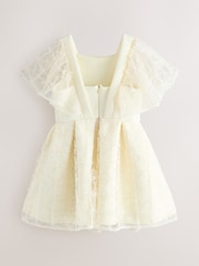 Baker by Ted Baker Mesh Overlay Angel Sleeve Scuba Dress - Image 2 of 5