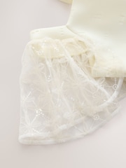 Baker by Ted Baker Mesh Overlay Angel Sleeve Scuba Dress - Image 6 of 8