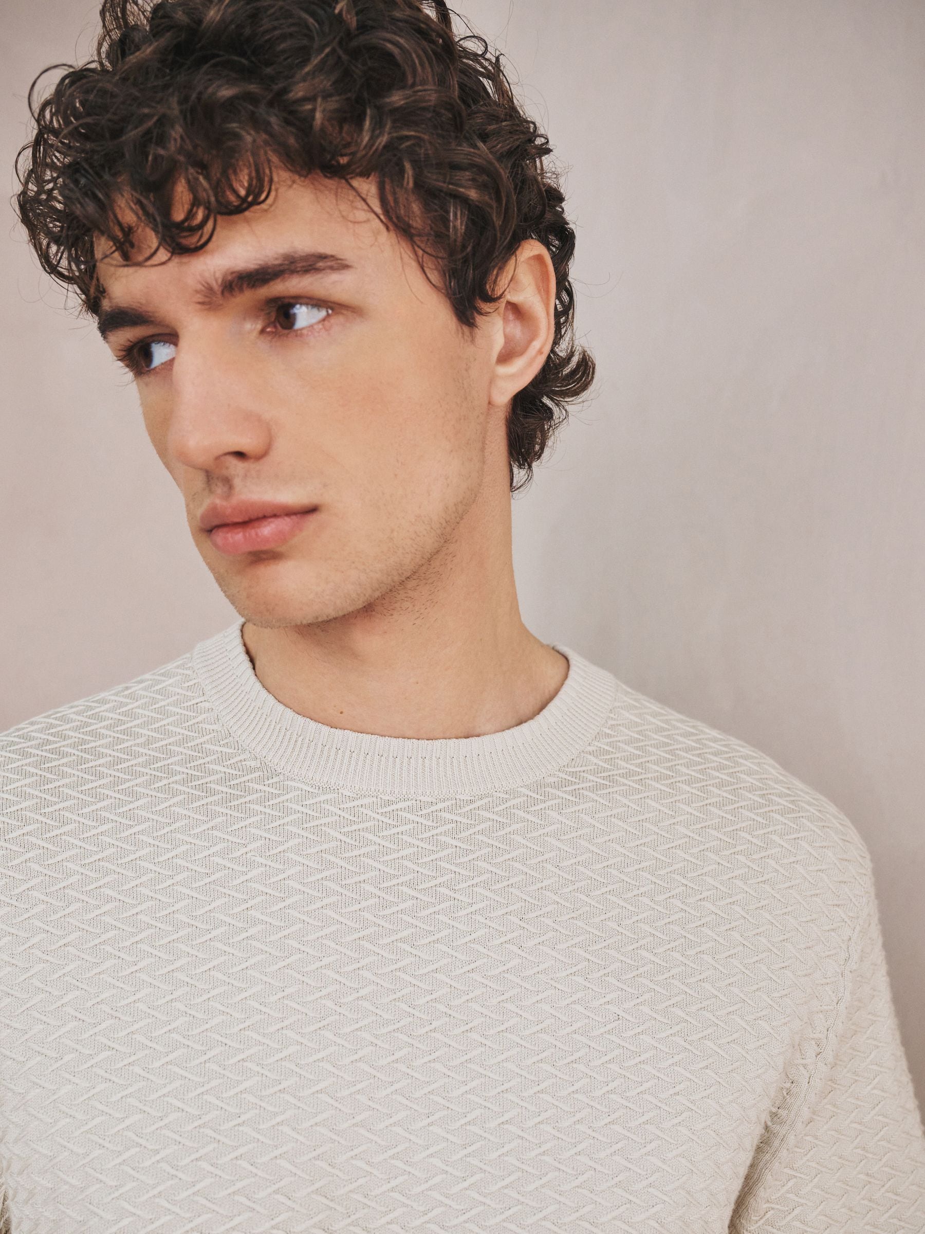 Buy Neutral Slim Fit Cotton Rich Textured Stitch Crew Neck Jumper