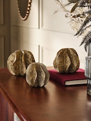 Antiqued Set of 3 Seed Pod Ornaments - Imagen 1 de 3