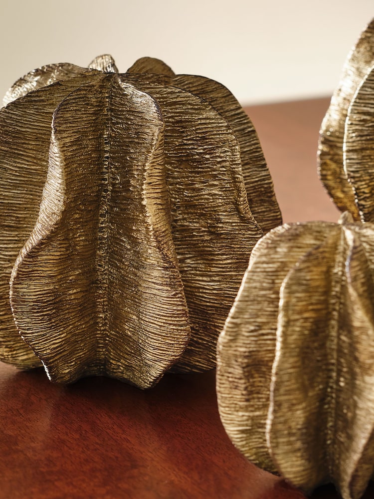 Antiqued Set of 3 Seed Pod Ornaments - Imagen 2 de 3 Antiqued Set of 3 Seed Pod Ornaments - Imagen 2 de 3