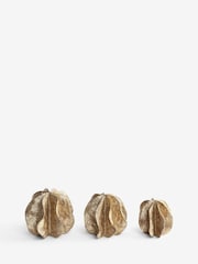 Antiqued Set of 3 Seed Pod Ornaments - Imagen 3 de 3