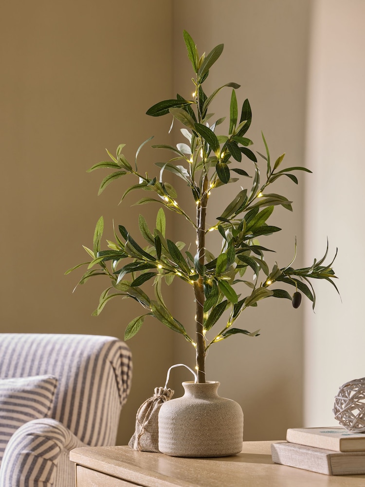 Olive Light Up Tree In Ceramic Pot - Image 1 of 7