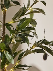 Olive Light Up Tree In Ceramic Pot - Image 3 of 7