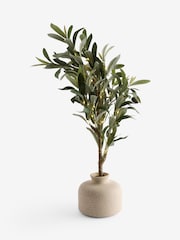 Olive Light Up Tree In Ceramic Pot - Image 6 of 7