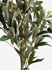 Olive Light Up Tree In Ceramic Pot - Image 7 of 7