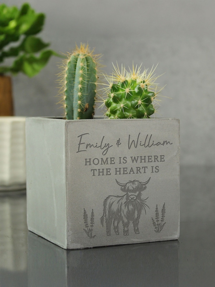 Personalised Highland Cow Concrete Plant Pot by PMC - Image 1 of 3