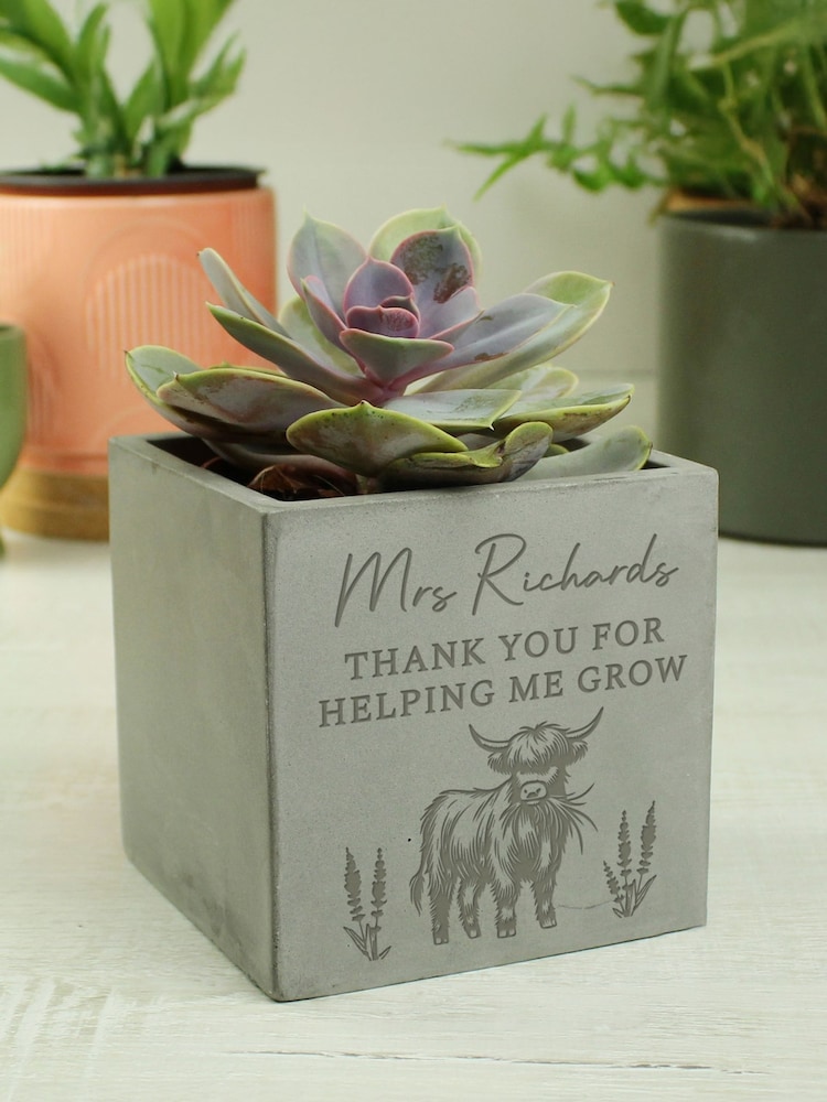 Personalised Highland Cow Concrete Plant Pot by PMC - Image 2 of 3
