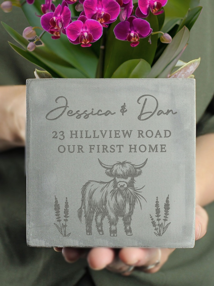 Personalised Highland Cow Concrete Plant Pot by PMC - Image 3 of 3