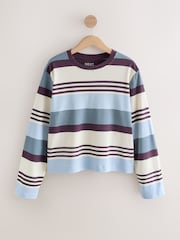 Brown/Blue/Ecru Stripe Interlock Long Sleeve Crew Neck T-Shirt - Image 5 of 7