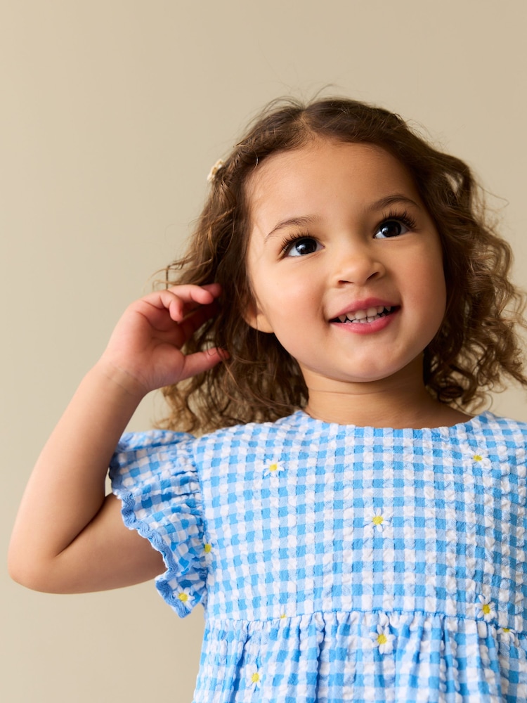 blue gingham dress toddler Pleated Dress, Toddler Girls main image 1