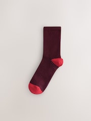 Bright Contrast Ribbed Ankle Socks 3 Pack - Image 2 of 6