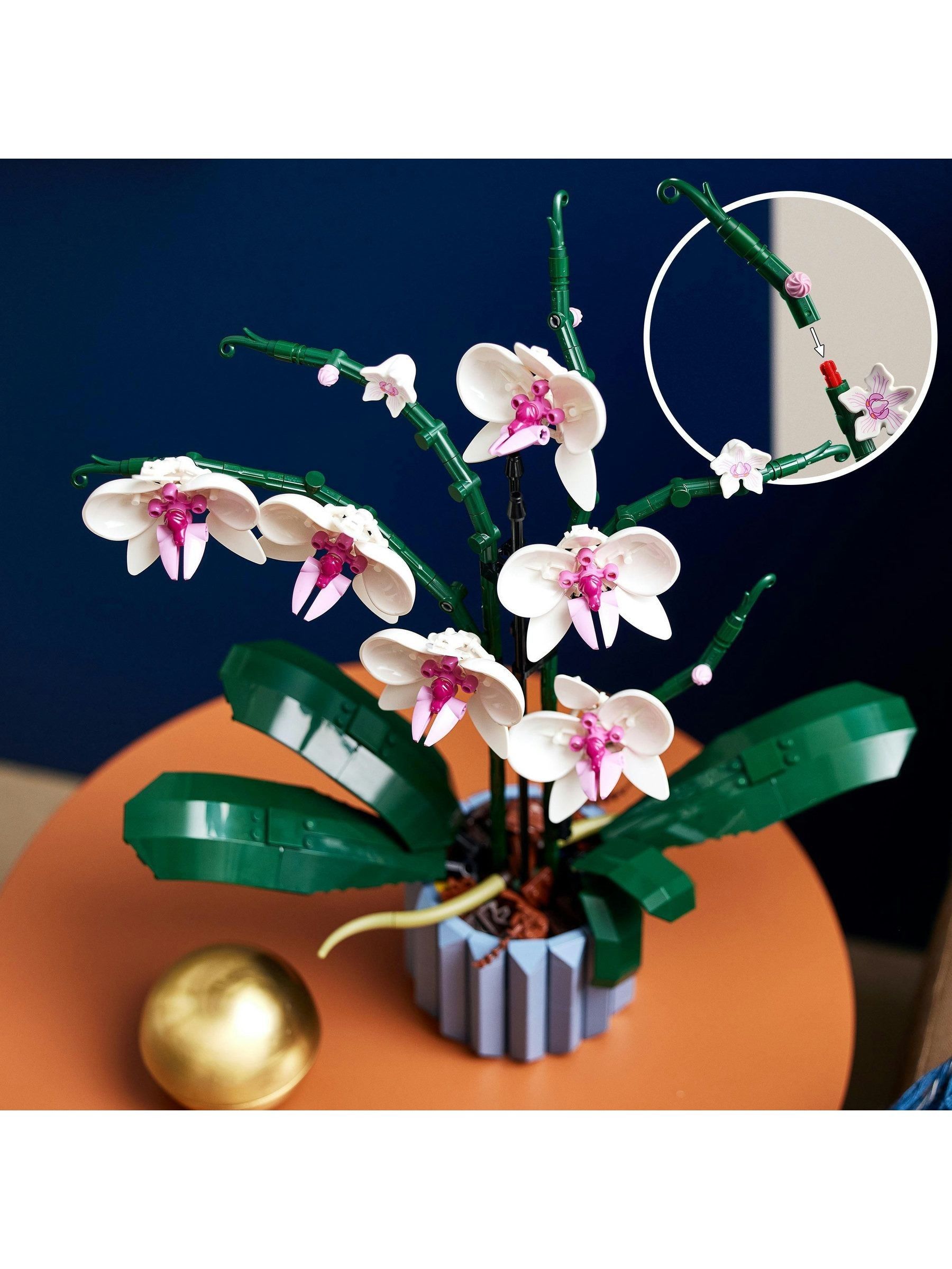 Buy LEGO Icons Botanicals Orchid Artificial Plant 10311 from Next