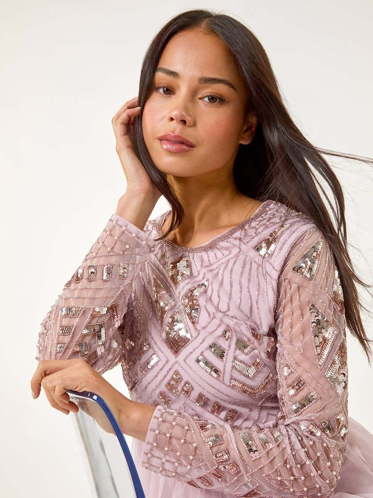 Roman Purple Petite Embellished Mesh Dress - Image 1 of 5