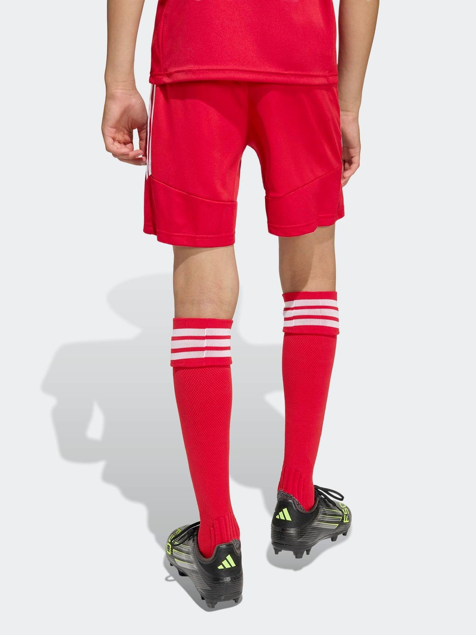 Buy adidas Red Tiro 26 League Training Shorts from Next USA